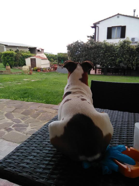 Agriturismo Valbona Βίλα Castiglione della Pescaia Εξωτερικό φωτογραφία